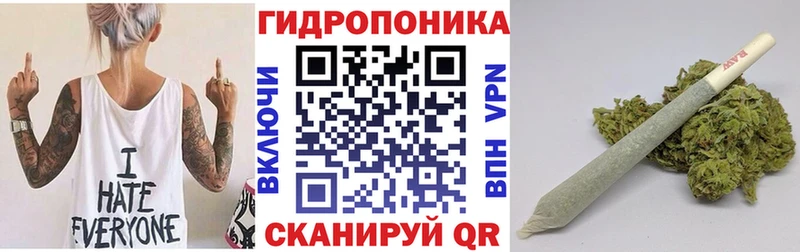 купить наркотик  Тында  MEGA ONION  Бошки Шишки VHQ 